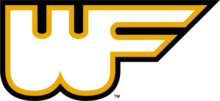 Wake Forest Demon Deacons 1977-1985 Alternate Logo iron on transfers for clothing